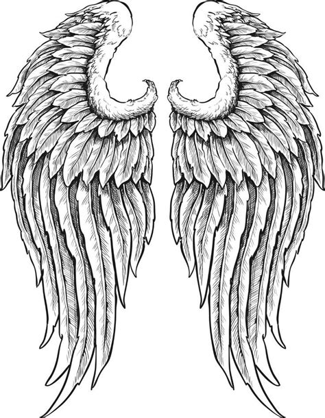 Pin by Rowland Miller on Tattoos | Angel wings drawing, Angel wings ...