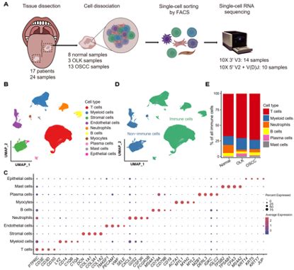 Jci Tdo Myofibroblasts Mediate Immune Suppression In Malignant