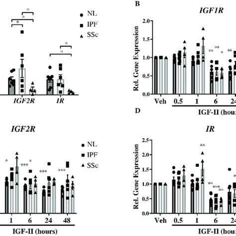 IGF II Mediates Lung Fibrosis Through Multiple Mechanisms IGF II