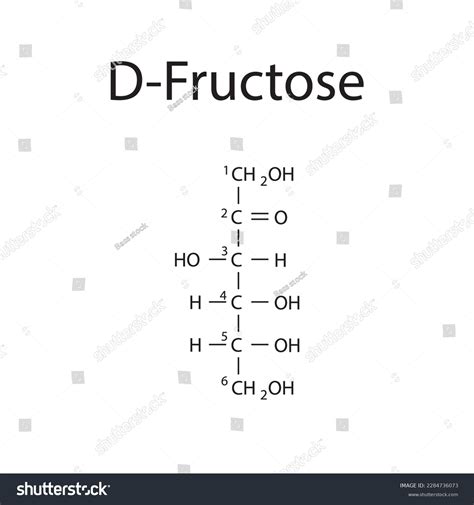 Straight Chain Form Chemical Structure D Fructose Stock Vector Royalty