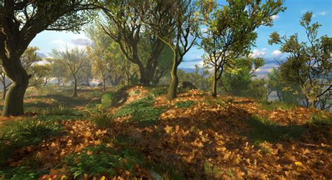 Medieval Forest in Environments - UE Marketplace