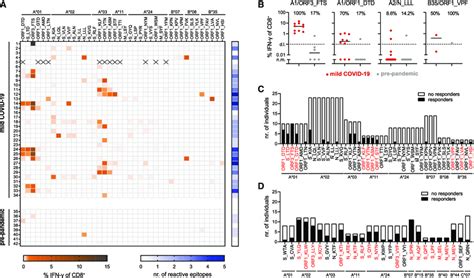 Identification Of Immunodominant Sars Cov Specific Cd T Cell