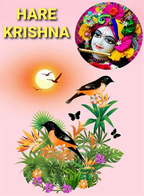 Pin By Venkat Ganesh On Krishna With Birds Hare Krishna Krishna Birds