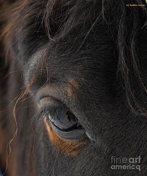 Beauty Of The Naked Eye Photograph By Bobbie Moller Pixels