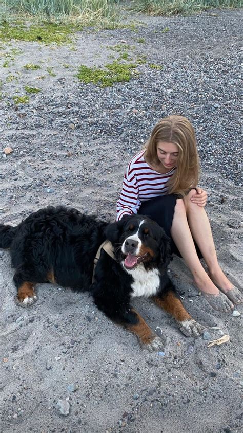 Marie Ulven Tina Ulven Animals Pretty People Corgi