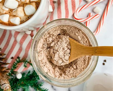 Homemade Hot Chocolate Mix No Powdered Milk Barefoot In The Pines