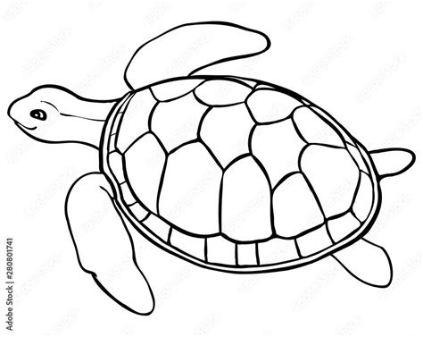 Contour turtle - coloring page for kids, line art Stock Vector | Adobe ...