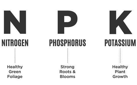 Understanding Npk Fertilizers And Their Importance In Plant Growth