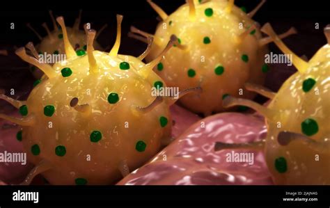 Herpes Genital Fotografías E Imágenes De Alta Resolución Alamy