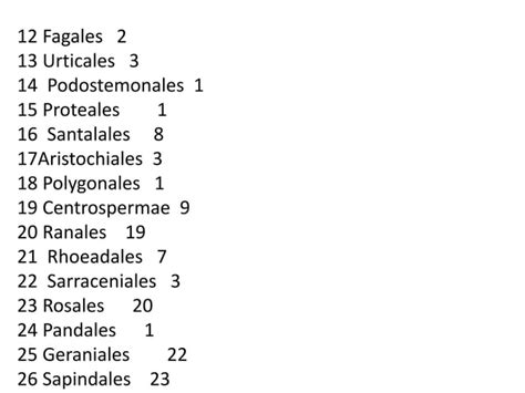 Englar And Prantl System Classification PPT