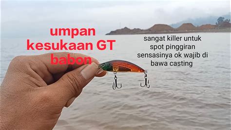 Minnow Killer Murah Meriah Cuman 25 000 Hasilnya Bikin Melongo