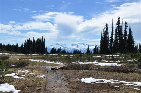 Black Tusk Trail Photo | 2014 Hiking Photo Contest | Vancouver Trails