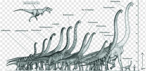 Argentinosaurus Vs Brachiosaurus