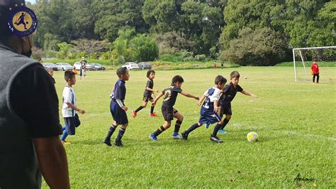 Escuela de Fútbol Jerry Galindo Categoría 2014 2015 YouTube