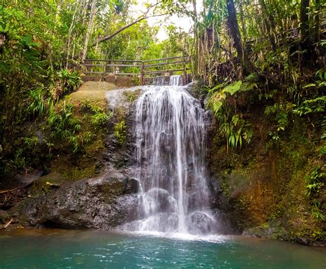 A mini guide to Suva, Fiji | Wanderlust