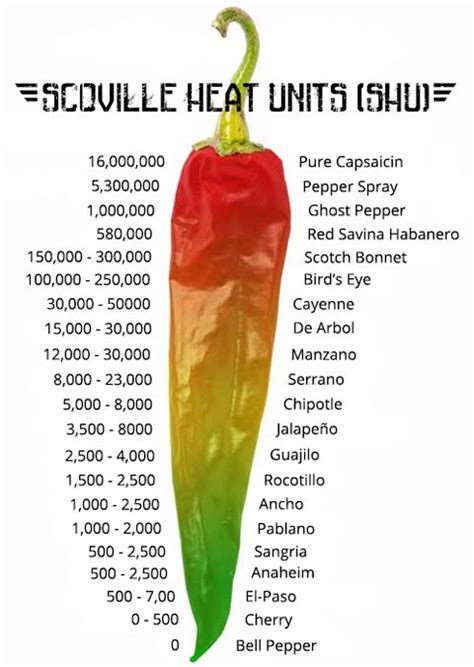Ghost Pepper Hot Sauce AKA WTF Sauce – Nomageddon