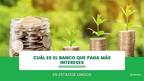 Descubre Cuáles Son Los Bancos Que Ofrecen Los Intereses Más Altos En