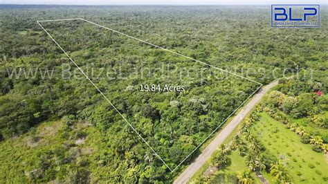 21 Acres along Old Northern Highway - Belize Land Properties Ltd