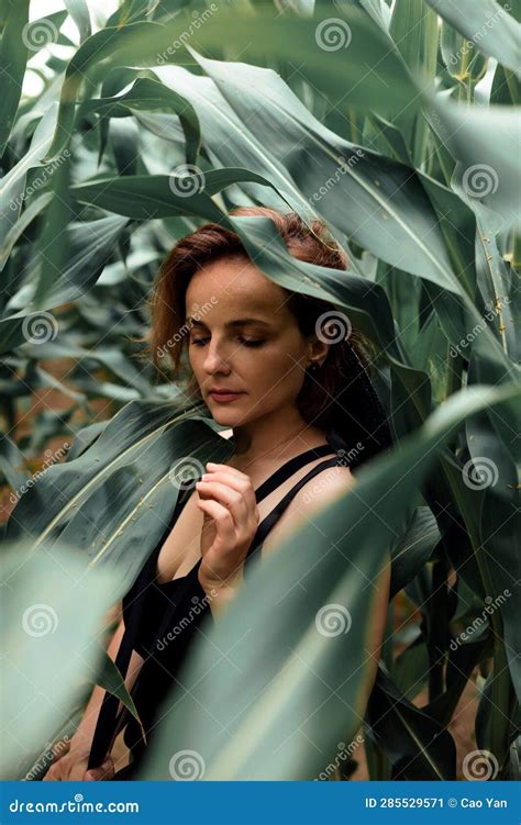 Redhead Girl In Dress Posing Over Corn Field At Sunset Stock Image