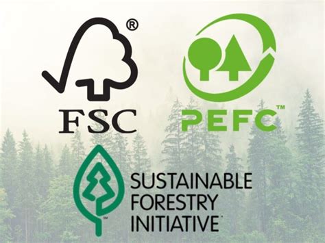 Sustainable Forestry Certifications Rooted In Forest Protection Or