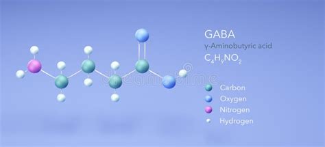 Gaba, Molecular Structure, Î³-aminobutyric Acid, 3d Model, Structural ...