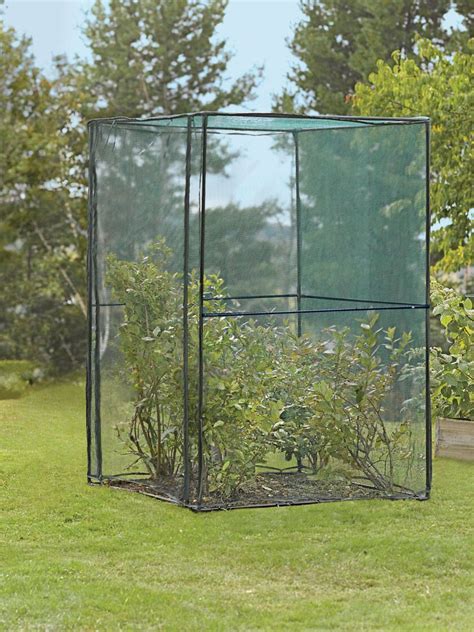 Crop Cage 4 Ft X 4 Ft X 6 Ft Tall Gardeners Supply Greenhouse Frame