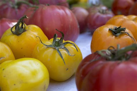 Tomate Vegetal Fresco Foto Gratis En Pixabay Pixabay