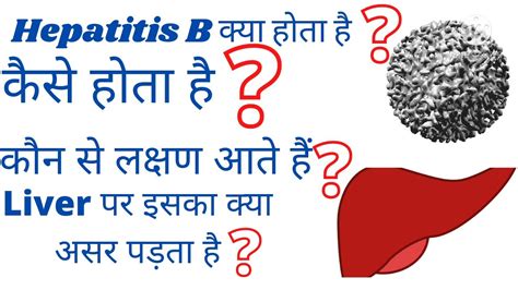 Hepatitis B Kya H Hepatitis B Kaise Hota Hai Hepatitis B Virus Se