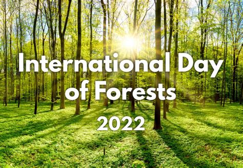 International Day Of Forests 2022 Simplynotes Online Notes For Mba