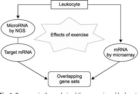 Figure 1 From Integrated Analysis Of MicroRNA And MRNA Expressions In