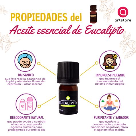 Aceite Esencial De Eucalipto Beneficios Y Usos Aceite Esencial Eucalipto