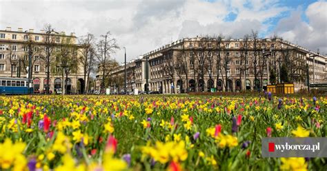 Park Kulturowy Nowa Huta Konsultacje Ostatniej Szansy