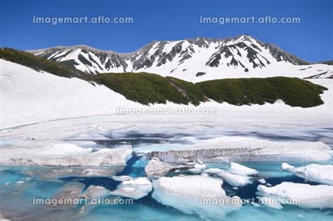 雪解けのみくりが池 北アルプス 立山連峰の写真素材 213043862 イメージマート