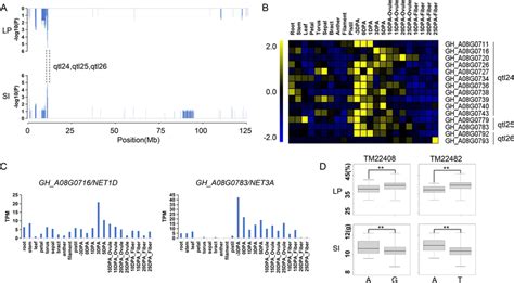 Qtls And Candidate Genes Located On A Qtl Hotspot On Chromosome A A