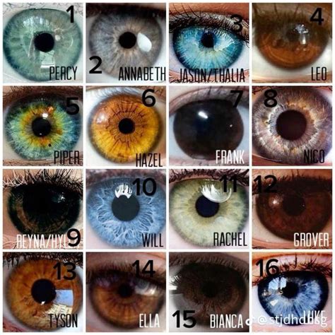 Pin by Elizabeta on Piny od vás | Eye color chart, Rare eye colors ...
