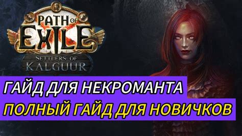 КАК УСПЕШНО НАЧАТЬ ИГРАТЬ В ПОЕ ГАЙД ДЛЯ НОВИЧКОВ ПОЕ Path of Exile