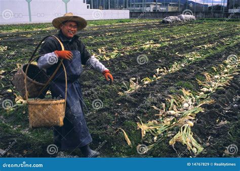 Urban Gardening In Japan Editorial Stock Image Image Of Glasses 14767829