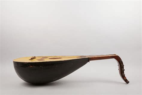 Origins Of Stringed Instruments Smithsonian Institution