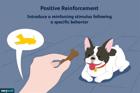 Positive Reinforcement and Operant Conditioning: Examples