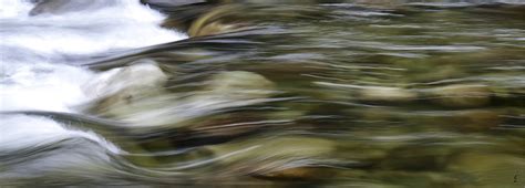 light  motion ed lehming photography