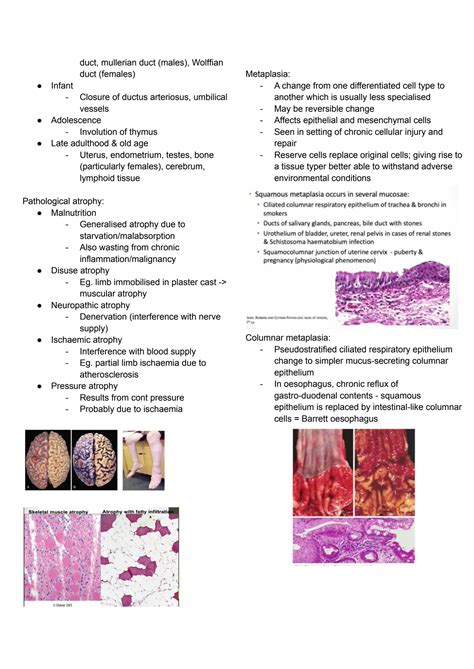 solution pathology notes cancer studypool