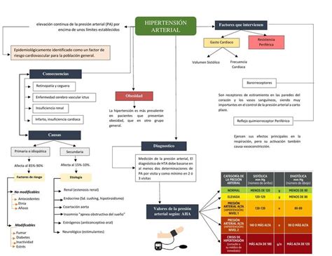 Hipertensión arterial mapa conceptual MARIA CLAUDIA ATO MIÑAN uDocz