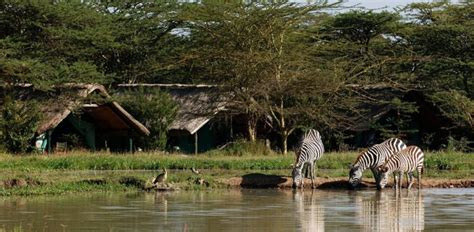 Days Nights Aberdares Samburu Sweet Water Lake Nakuru Masai