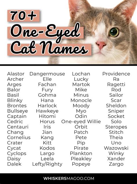 Names For Black Cats, Cute Cat Names, Kitten Names, Pet Names, Cute ...