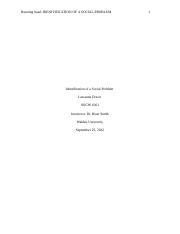 Week 4 Assgn Dixon L Docx Running Head IDENITIFICATION OF A SOCIAL