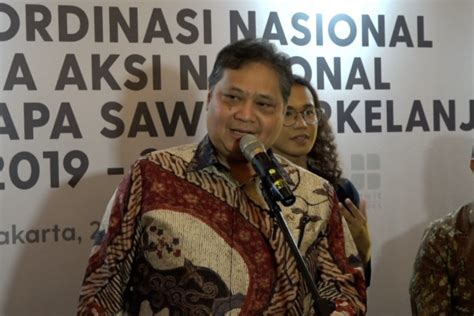 Airlangga Dorong Penggunaan Teknologi Pada Produksi Sawit Saat La Nina