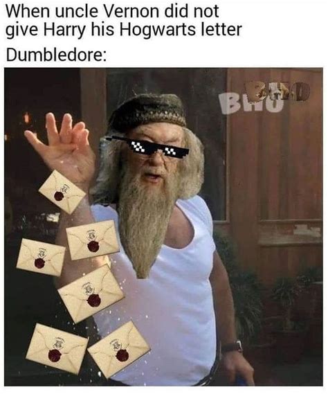 25 Dumbledore Memes More Powerful Than The Elder Wand