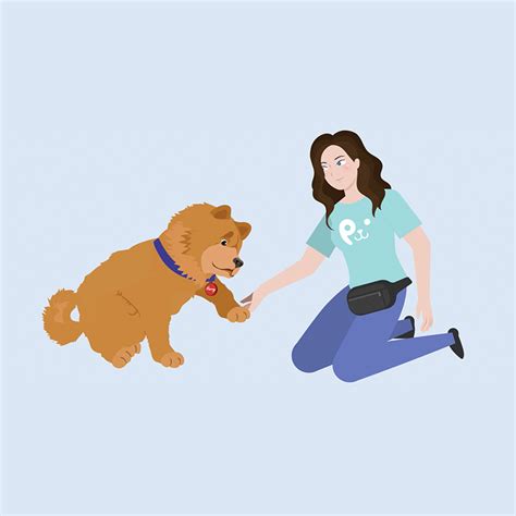 Core Behaviors Petcademy