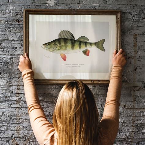 Yellow Fish Print Vintage Fishing Poster Wall Art Decor - Etsy