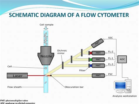 Simple Flow Cytometry Diagram Flow Cytometry Slide Flowcytom